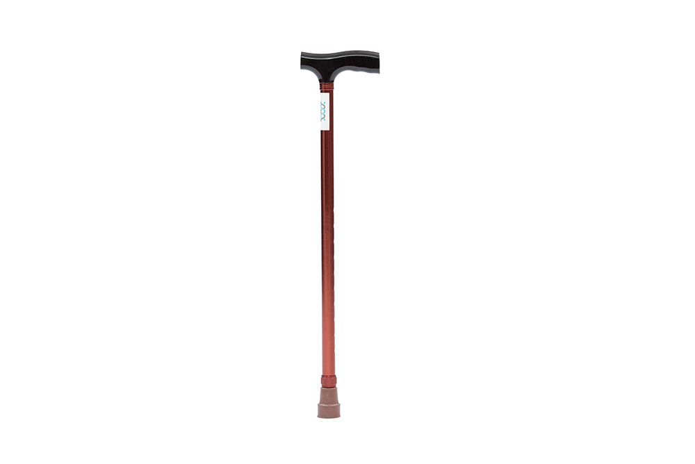 Walking Stick - DY059201LB